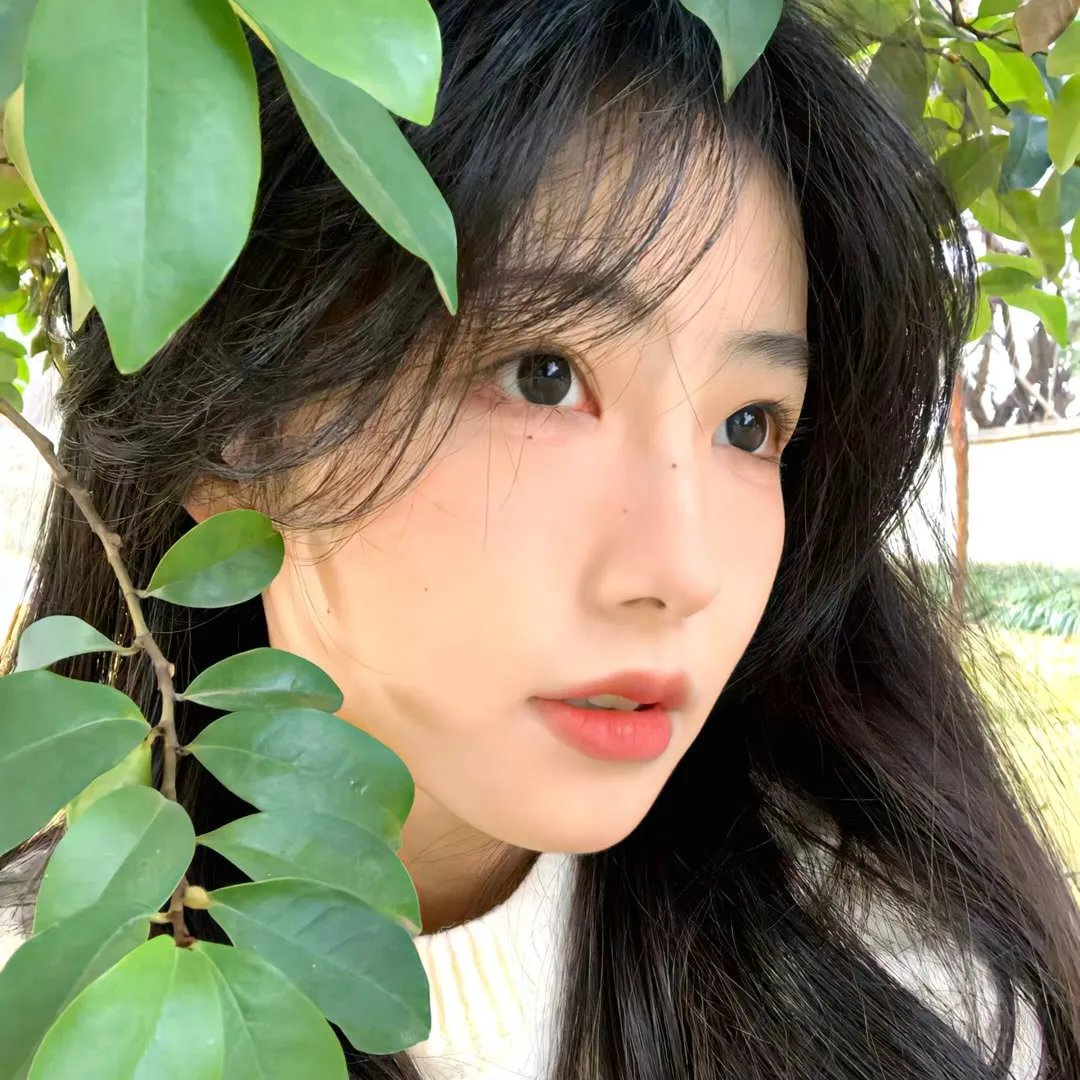 剧情片